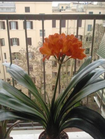 Название: 2015-04-19 13.18.53.jpg
Просмотров: 753
Размер: 29.1 Кб