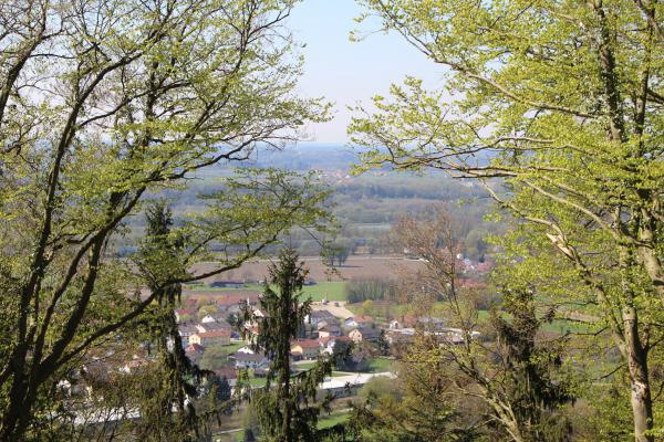 Название: image.jpg
Просмотров: 928
Размер: 80.6 Кб