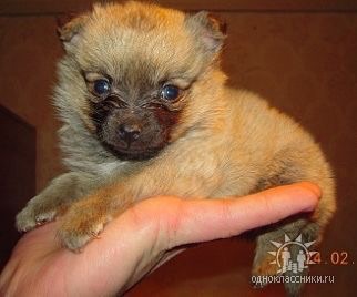 Название: image.jpg
Просмотров: 550
Размер: 23.9 Кб