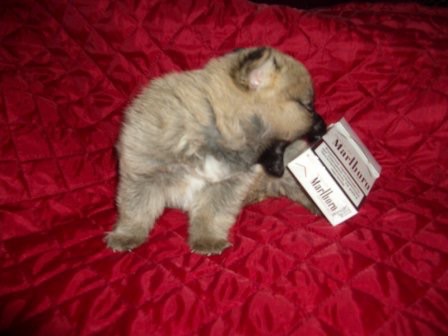 Название: image.jpg
Просмотров: 573
Размер: 34.8 Кб