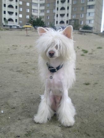 Название: image.jpg
Просмотров: 539
Размер: 22.1 Кб