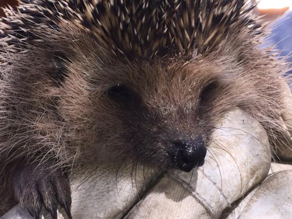 Название: image.jpg
Просмотров: 1055
Размер: 62.9 Кб