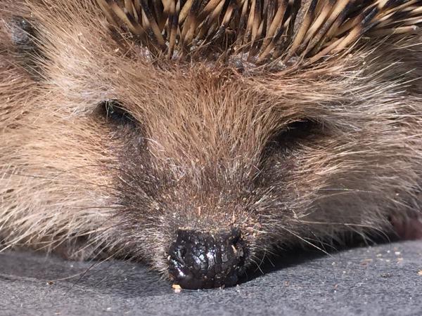 Название: image.jpg
Просмотров: 820
Размер: 73.8 Кб