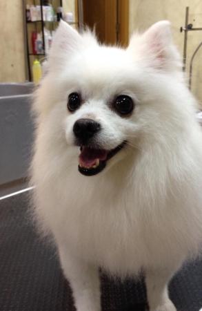 Название: 10689480_295286417334971_2201118575774817285_n-2.jpg
Просмотров: 361
Размер: 14.9 Кб