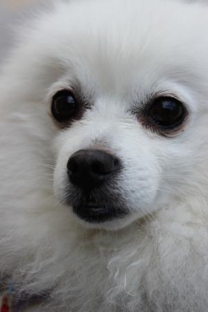 Название: IMG_0555.jpg
Просмотров: 379
Размер: 13.8 Кб