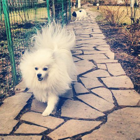 Название: 579813_10151605360488745_1880224048_n.jpg
Просмотров: 376
Размер: 55.0 Кб