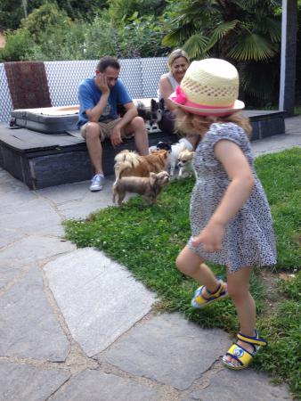 Название: image.jpg
Просмотров: 605
Размер: 35.2 Кб