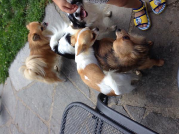 Название: image.jpg
Просмотров: 528
Размер: 36.1 Кб