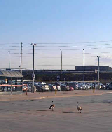 Название: IMAG0171.jpg
Просмотров: 835
Размер: 22.9 Кб