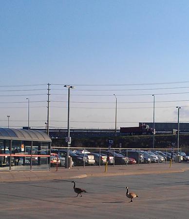 Название: IMAG0173.jpg
Просмотров: 1006
Размер: 22.2 Кб