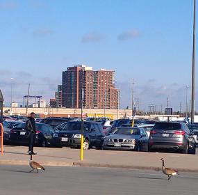 Название: IMG-20150421-WA0004.jpg
Просмотров: 813
Размер: 13.8 Кб