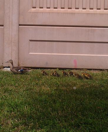 Название: IMAG1652.jpg
Просмотров: 836
Размер: 33.1 Кб