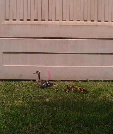 Название: IMAG1651.jpg
Просмотров: 1060
Размер: 30.3 Кб