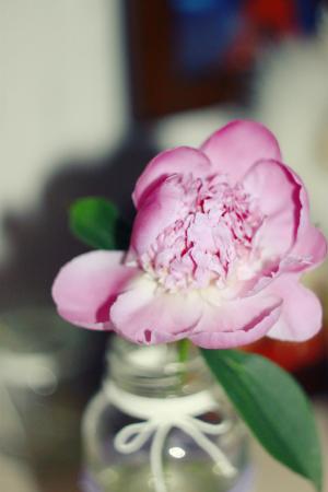 Название: 3WhMYmotN3M.jpg
Просмотров: 1343
Размер: 14.6 Кб