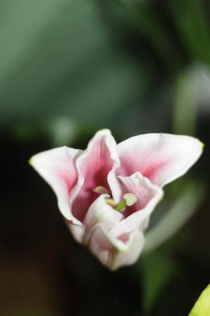 Название: cuknoIRKPbE.jpg
Просмотров: 1106
Размер: 10.7 Кб