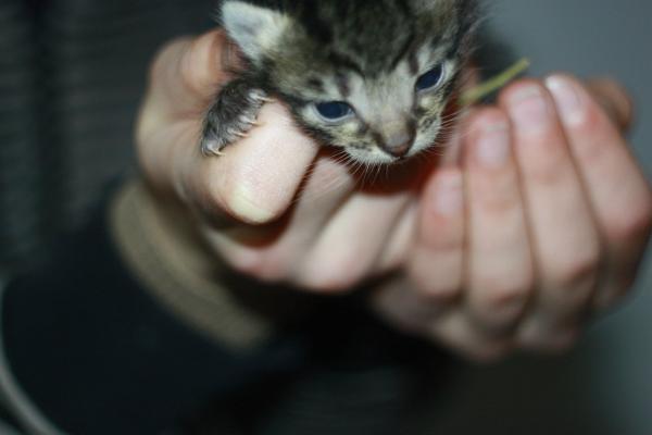 Название: rS84isvCKj8.jpg
Просмотров: 1361
Размер: 18.3 Кб