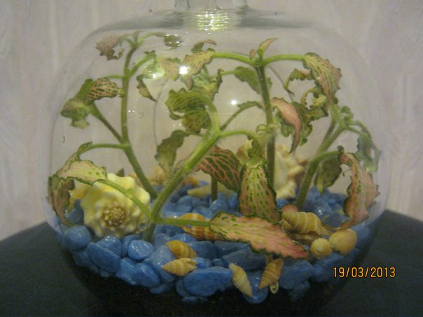 Название: 55.jpg
Просмотров: 761
Размер: 50.4 Кб