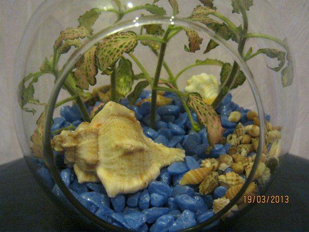 Название: 66.jpg
Просмотров: 841
Размер: 59.6 Кб