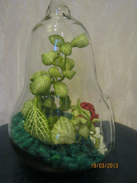 Название: 77.jpg
Просмотров: 931
Размер: 50.2 Кб