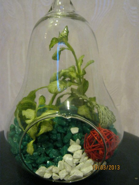 Название: 88.jpg
Просмотров: 819
Размер: 47.8 Кб