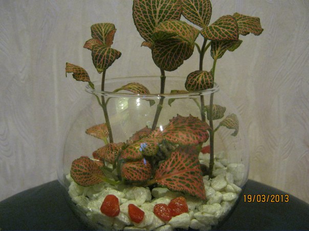 Название: 99.jpg
Просмотров: 773
Размер: 55.0 Кб