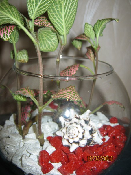 Название: 12.jpg
Просмотров: 929
Размер: 64.4 Кб