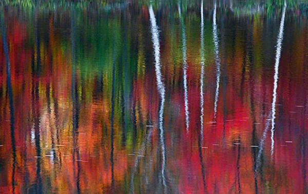 Название: 16 foto.jpg
Просмотров: 3746
Размер: 41.3 Кб