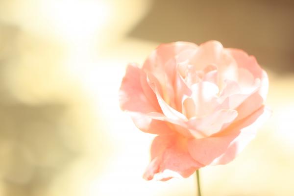 Название: _MG_9575.jpg
Просмотров: 3943
Размер: 13.5 Кб