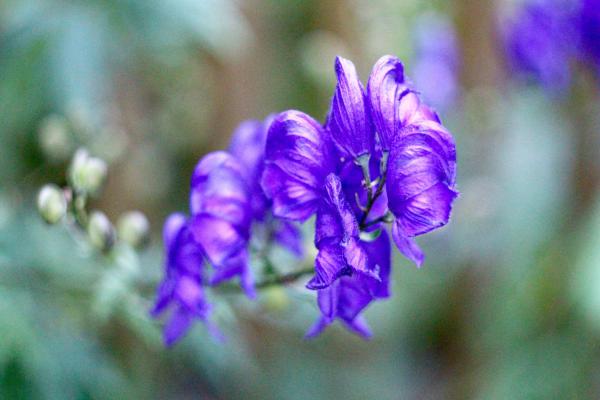 Название: image.jpg
Просмотров: 4494
Размер: 29.6 Кб