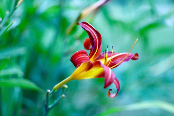 Название: image.jpg
Просмотров: 3822
Размер: 28.1 Кб