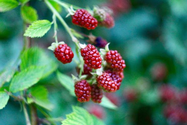 Название: image.jpg
Просмотров: 3761
Размер: 32.0 Кб