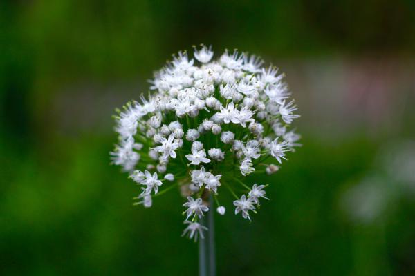 Название: image.jpg
Просмотров: 3768
Размер: 23.1 Кб