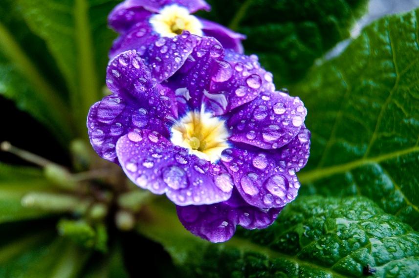 Название: DSC_0380.jpg
Просмотров: 5211
Размер: 73.3 Кб