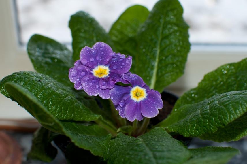 Название: DSC_0385.jpg
Просмотров: 5565
Размер: 53.2 Кб