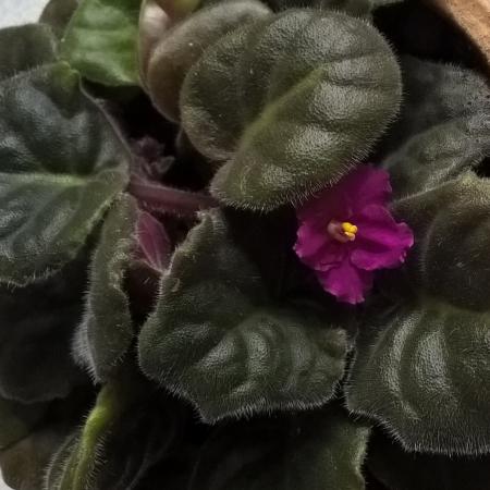 Название: InstagramCapture_0937af7b-3144-4231-b2b1-cb6382a956ba.jpg
Просмотров: 530
Размер: 30.1 Кб