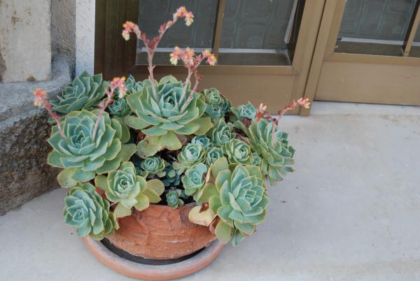 Название: DSC_1844.jpg
Просмотров: 356
Размер: 37.6 Кб