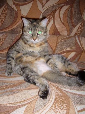 Название: P1030819.jpg
Просмотров: 545
Размер: 35.8 Кб