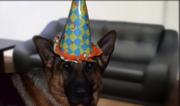 Название: becki s o shlyapoj.jpg
Просмотров: 396
Размер: 19.1 Кб