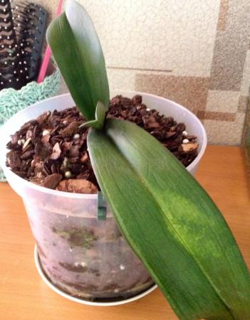 Название: image.jpg
Просмотров: 739
Размер: 27.8 Кб