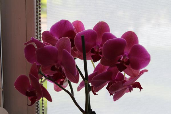 Название: IMG_7954.jpg
Просмотров: 618
Размер: 28.1 Кб