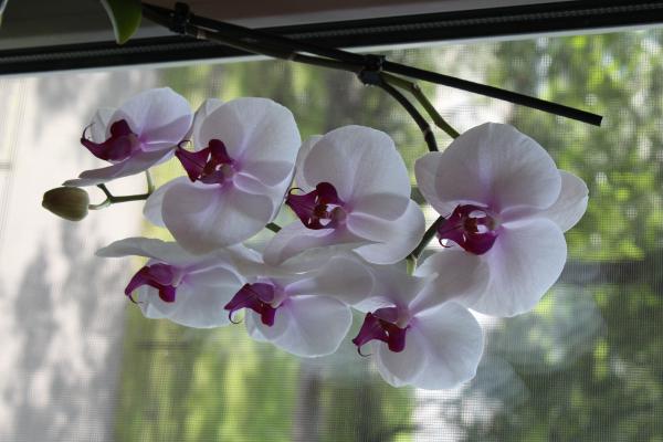 Название: IMG_7959.jpg
Просмотров: 482
Размер: 34.3 Кб