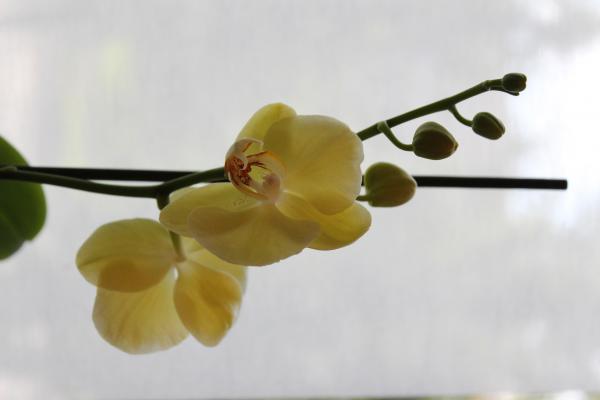 Название: IMG_7966.jpg
Просмотров: 578
Размер: 15.7 Кб