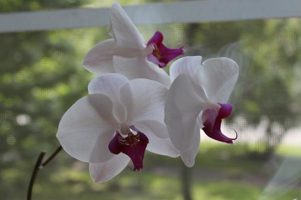 Название: IMG_7973.jpg
Просмотров: 486
Размер: 22.2 Кб