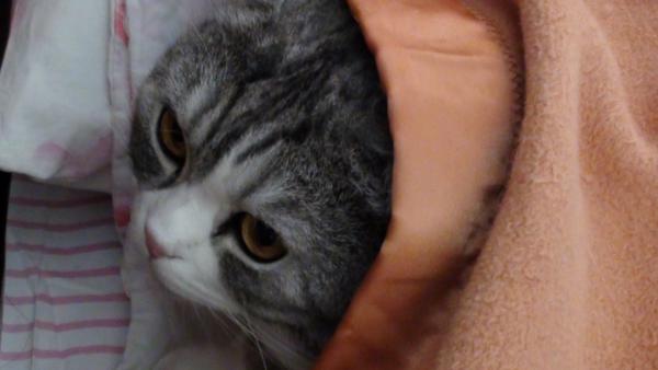 Название: 021.jpg
Просмотров: 710
Размер: 22.7 Кб