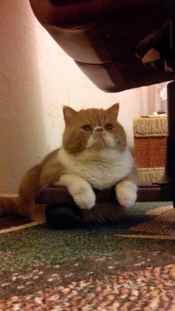 Название: Yo70aaJxN5Y.jpg
Просмотров: 982
Размер: 18.9 Кб