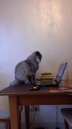 Название: 20150415_192613.jpg
Просмотров: 940
Размер: 11.0 Кб