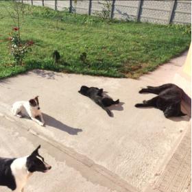 Название: Screen Shot 2015-09-26 at 11.35.44.jpg
Просмотров: 981
Размер: 16.1 Кб