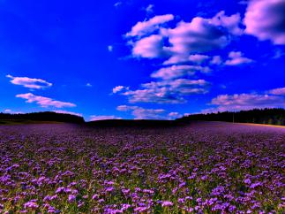 Название: image.jpg
Просмотров: 2157
Размер: 20.5 Кб