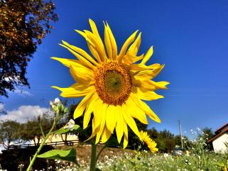 Название: image.jpg
Просмотров: 1671
Размер: 21.2 Кб