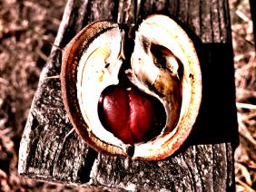 Название: image.jpg
Просмотров: 2712
Размер: 22.0 Кб